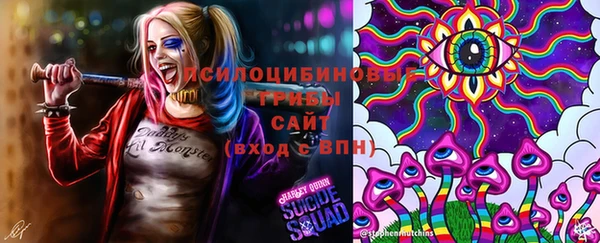 дурь Алексин
