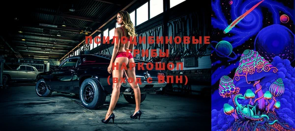 дурь Алексин