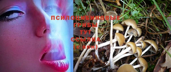 метадон Алексеевка