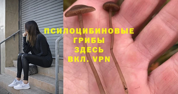 дурь Алексин