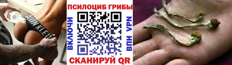 Псилоцибиновые грибы прущие грибы  Ардон 