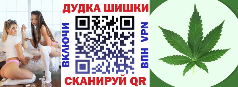 где продают Ардон Шишки марихуана THC 21%